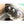 Load image into Gallery viewer, ONEMAX Pilates Reformer use white maple wood for Fitness Exercise Yoga factory directly for sale