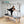 Load image into Gallery viewer, ONEMAX Professional Equipment Reformer Machine White Maple Wood Pilates Trapeze Table Cadillac bed
